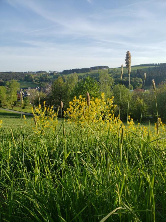 Sonnen Panorama - Abenteurer Und Weltentdecker Winterberg Ngoại thất bức ảnh